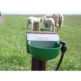 Schwimmerbecken von Suevia für Schafe, Pferde und Kälber