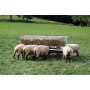 Futterrauf Patura für Schafe, Ziegen, Wild und Kälber