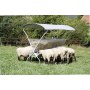 Heurauf für Schafe mit Dach (seperat Bestellen)
