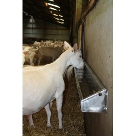 Suevia Tränketrog Modell 6155 für Ziegen und Schafe