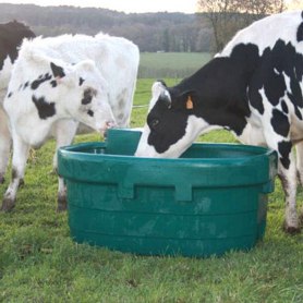 Weidetränke geeignet für Rinder, Kühe, Pferde und Ponies