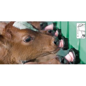 Milchbar für Kälber von Patura