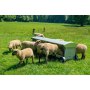 Patura Futterrauf für Schafe und Lämmer