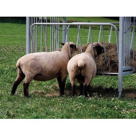 Heuraufe für Schafe von Patura
