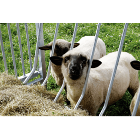 Heurauf ohne Dach für Schafe von Patura