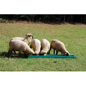 Futtertrog Kälber und Schafe