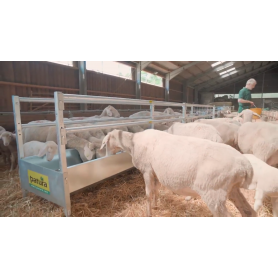 Gangtrog für Schafe ist ein beliebig erweiterbares System zur Fütterung im Stall
