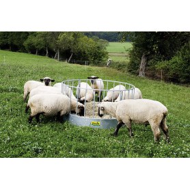 Patura Rundraufe für Schafe