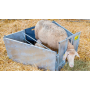 Patura Adoptionsbox für Schafe Lämmer