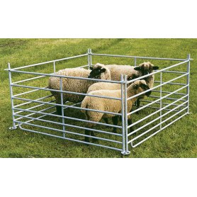 Patura Panels für Schafe