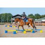 Cavaletti-Block klein, für Pferde Training blau und gelb