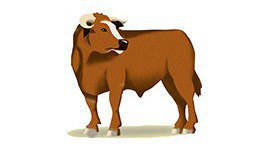 Tränken für Rinder; Tränke Kühe kaufen bei - Nedlandic.de