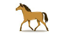 Tränckebeacken für Pferde und Ponys