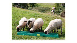 Futtertechniek Schafe | Nedlandic
